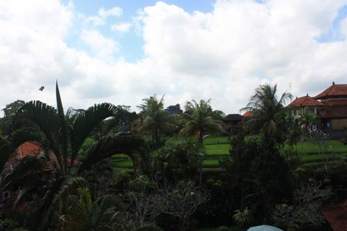 Ubud Indonesia Hotel Room Booking.com