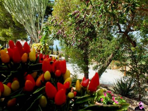 Menfi Italien Zimmer Promo Code Booking.com