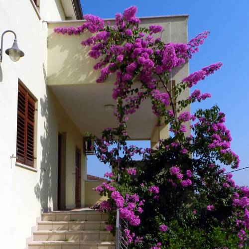 Premantura Kroatien Zimmer Promo Code Booking.com