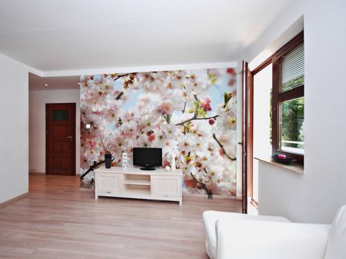 Sopot Polen Zimmer Promo Code Booking.com