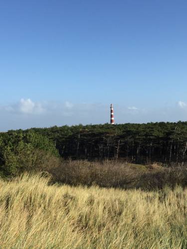 Hollum Ameland Niederlande Zimmer Promo Code Booking.com