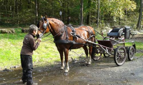 Aywaille Belgien Zimmer Promo Code Booking.com