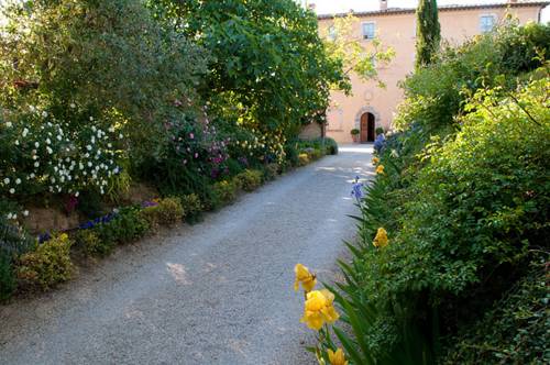 Montepulciano Italy Hotel Room Booking.com