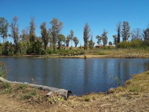 Magaliesburg Südafrika Zimmer Promo Code Booking.com
